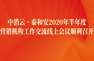 中消云·泰和安2020年半年度营销机构工作交流线上会议顺利召开